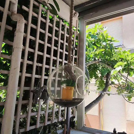 Graziano צ'סנטיקו