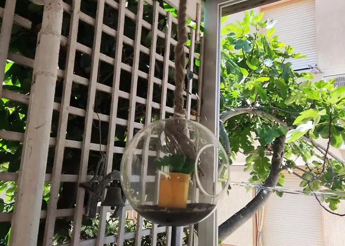 Graziano צ'סנטיקו